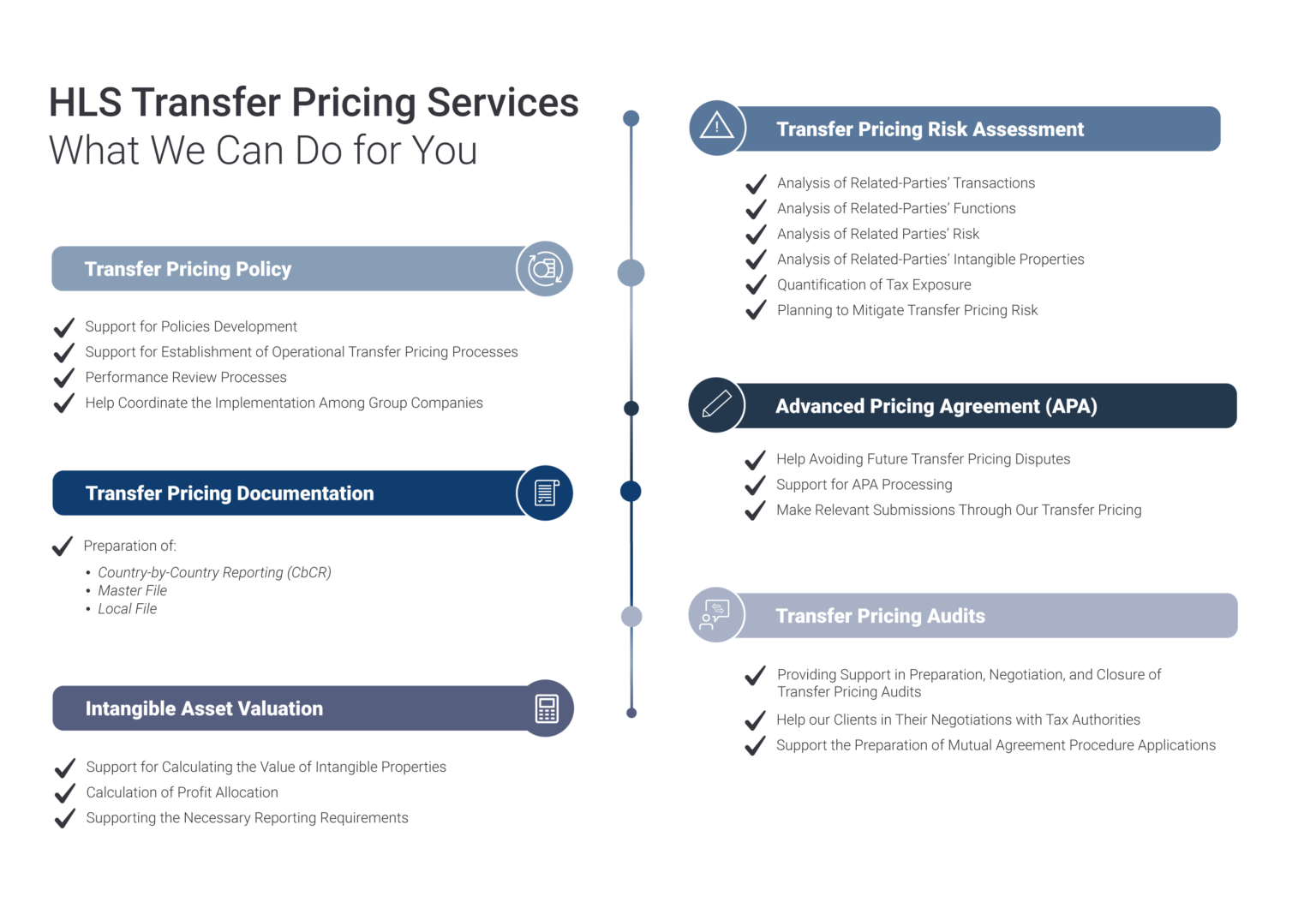 HLS Transfer Pricing Service